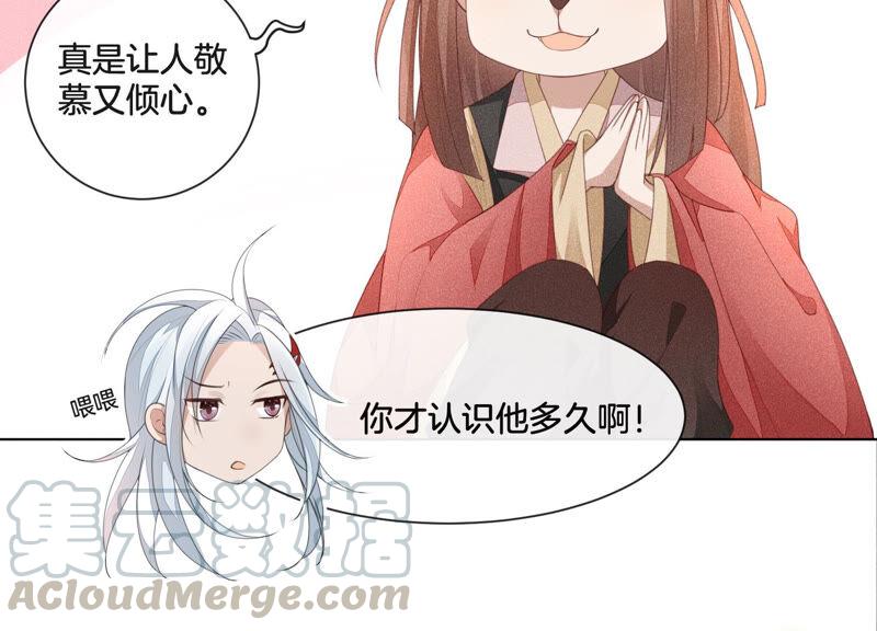 苍兰诀4话 我的新追求者