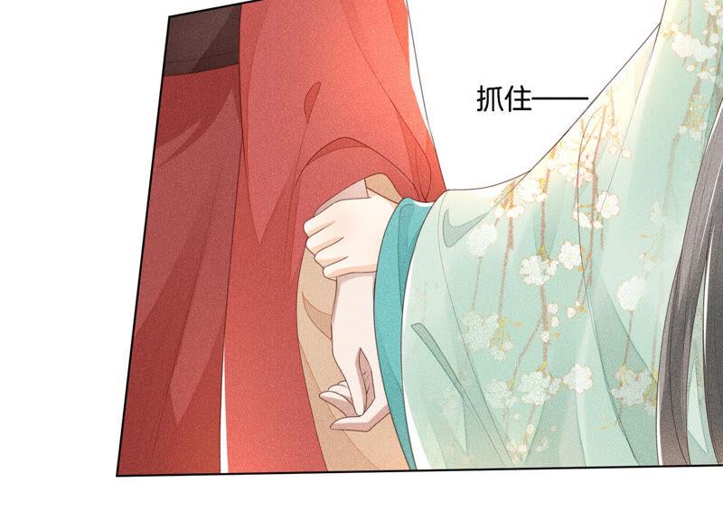 苍兰诀4话 我的新追求者