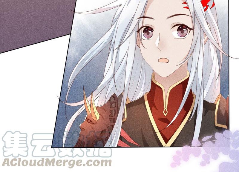 苍兰诀4话 我的新追求者