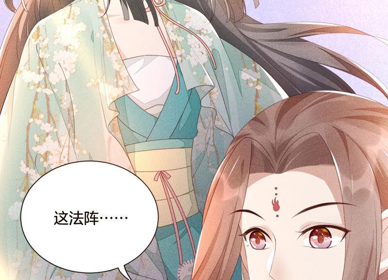 苍兰诀4话 我的新追求者