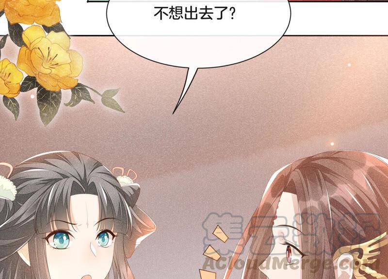 苍兰诀4话 我的新追求者