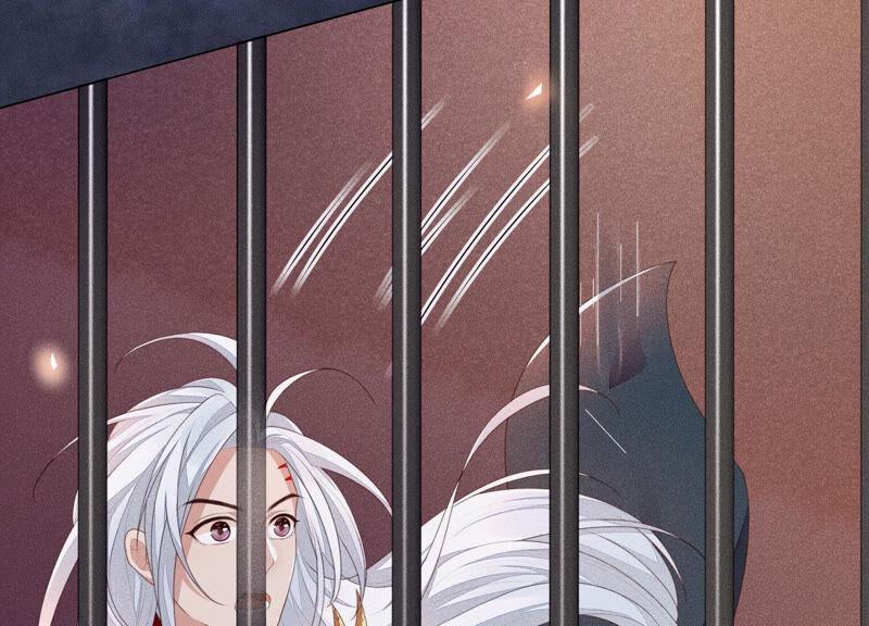 苍兰诀4话 我的新追求者