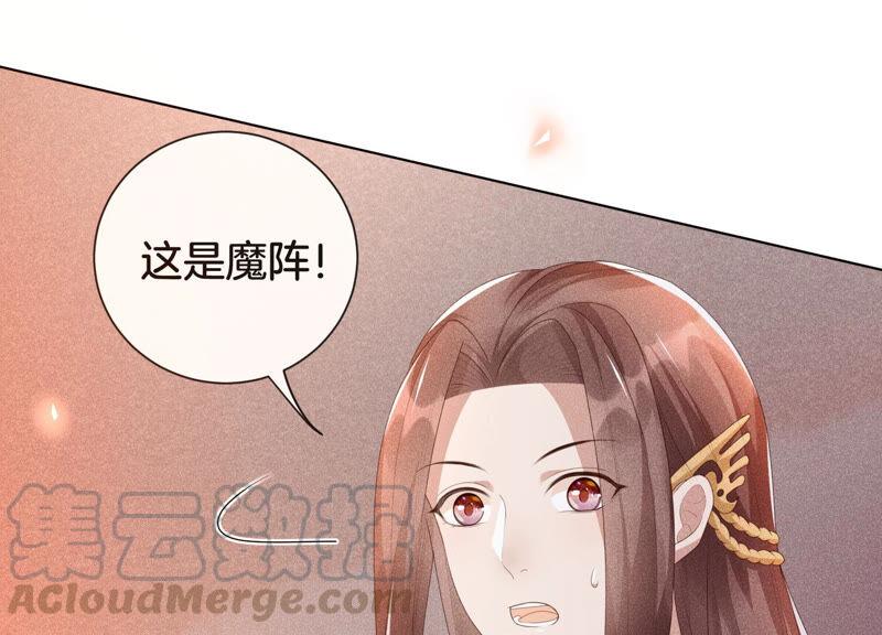 苍兰诀4话 我的新追求者