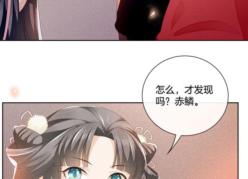 苍兰诀4话 我的新追求者