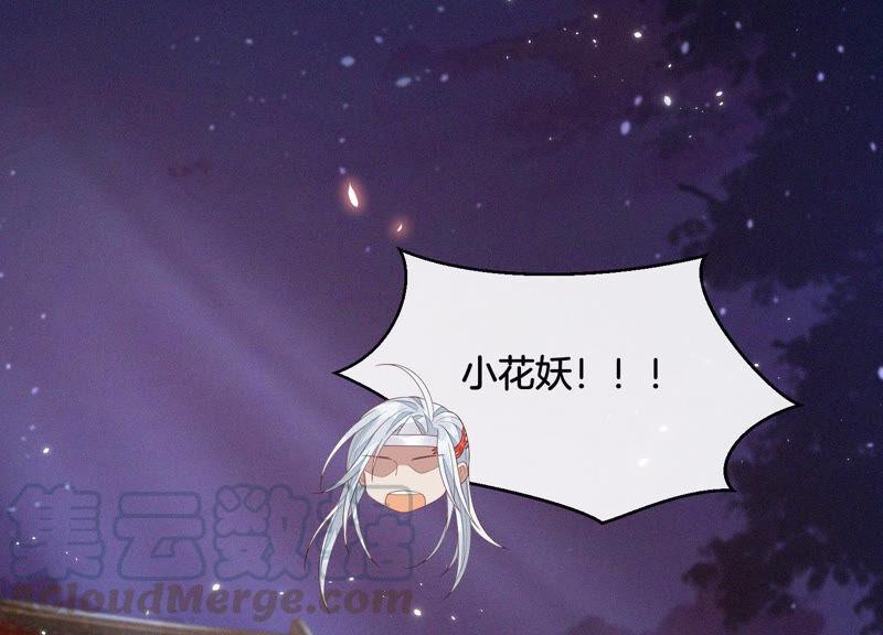 苍兰诀11话 魔尊走的是卖萌调调