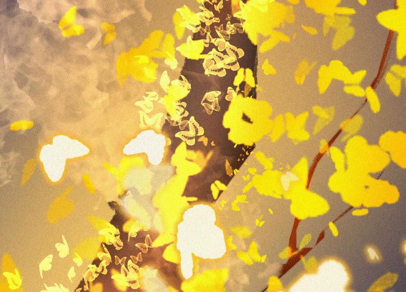 苍兰诀12话 去往苍盐海