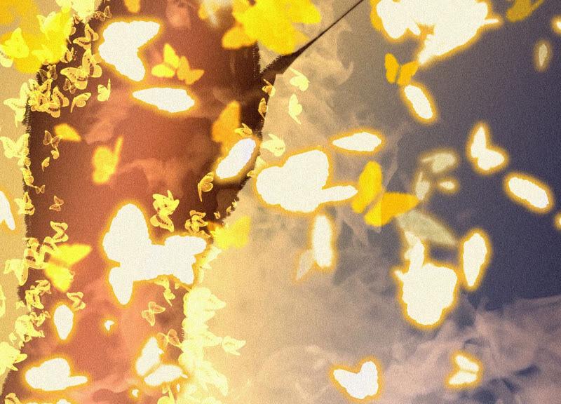 苍兰诀12话 去往苍盐海