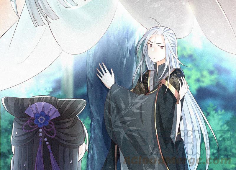 苍兰诀24话 公子的癖好倒是特殊