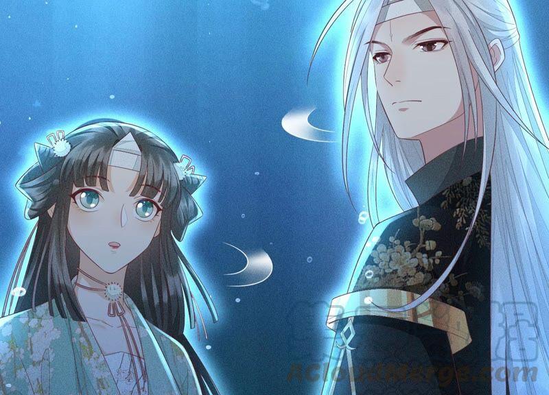苍兰诀29话 大魔头他女装啦