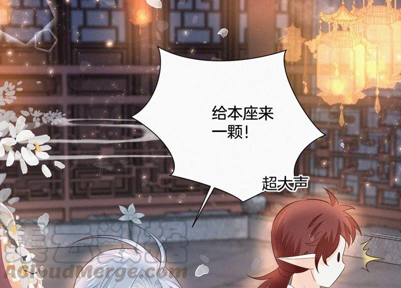 苍兰诀30话 买买买的小兰花