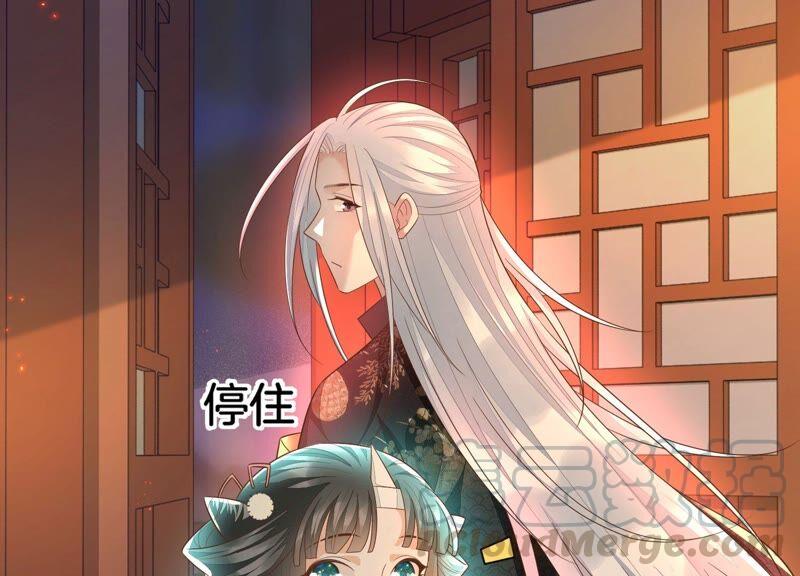 苍兰诀34话 令人熟悉的谢婉清