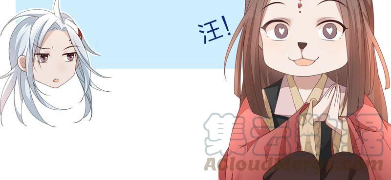 苍兰诀34话 令人熟悉的谢婉清