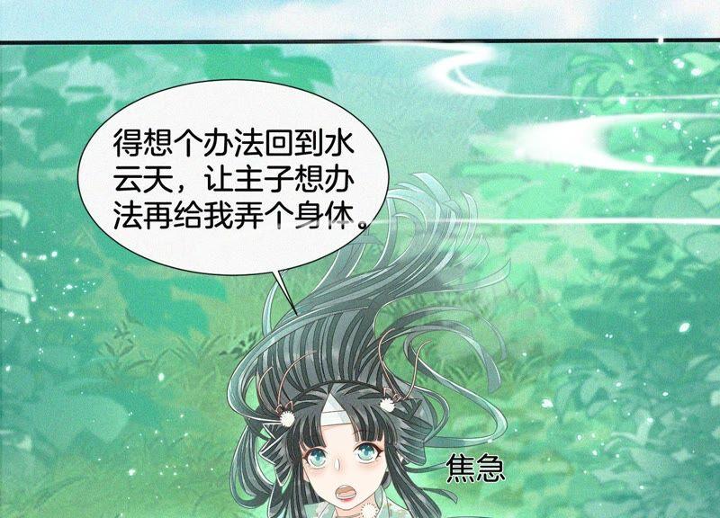 苍兰诀48话 今天这女人我是要定了