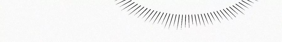 苍兰诀52话 千隐山千隐郎君