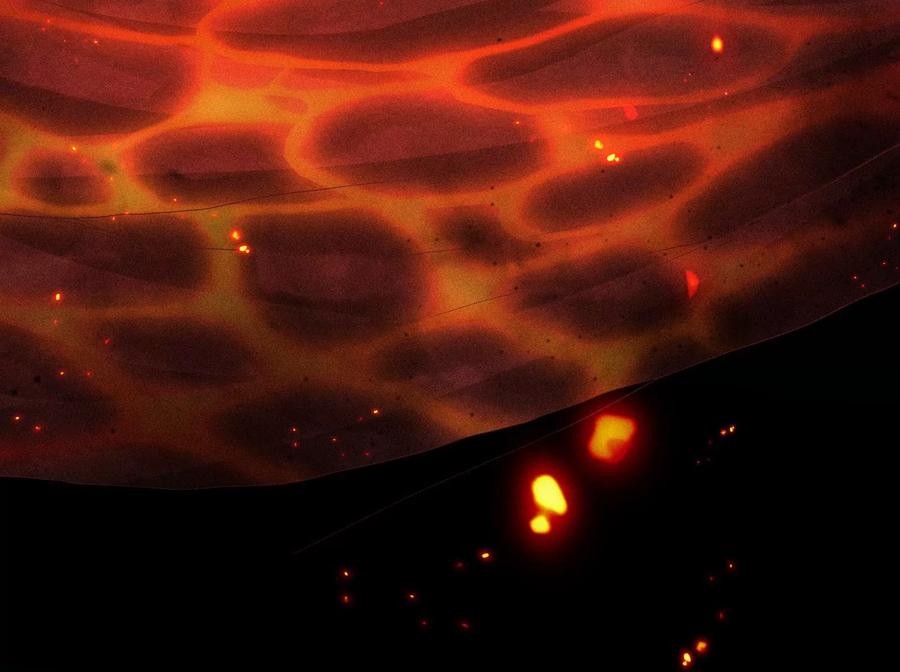 苍兰诀62话 这是什么鬼地方