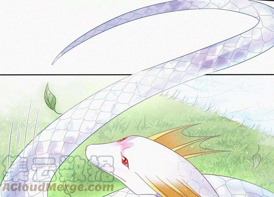 苍兰诀85话 孤男寡女共处一岛