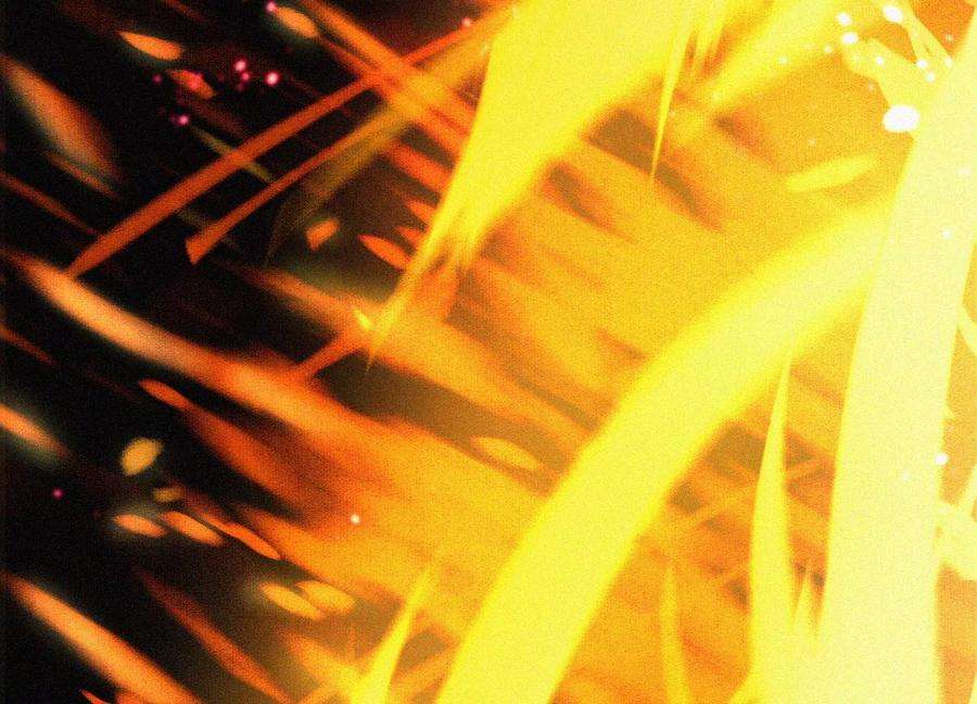 苍兰诀98话 属于东方青苍的战斗