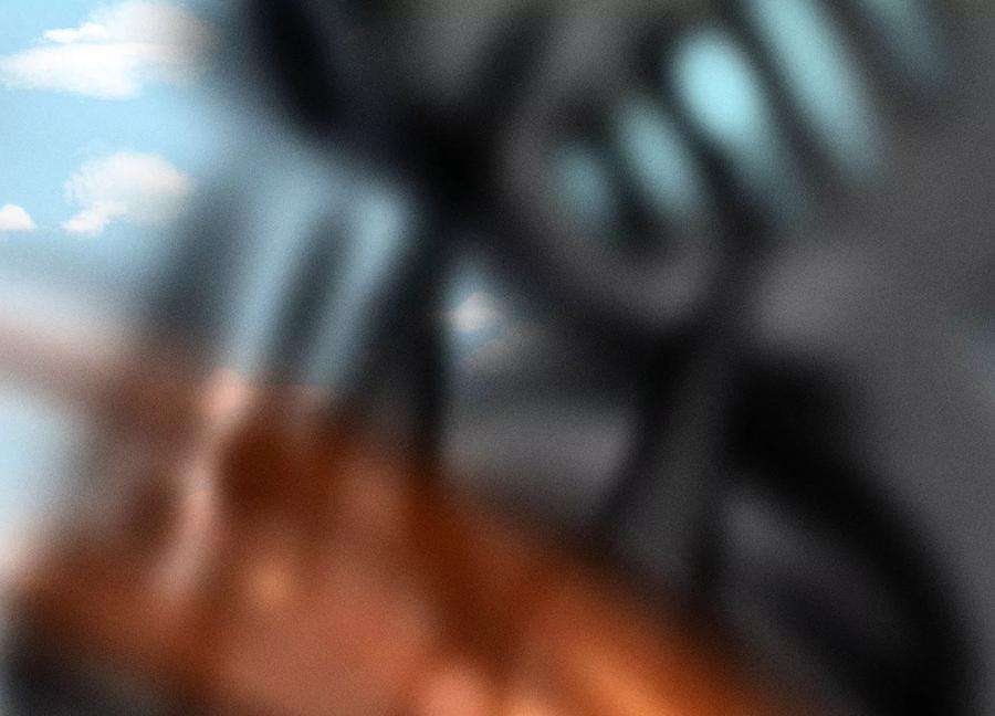 苍兰诀110话 小兰花，跟本座话去