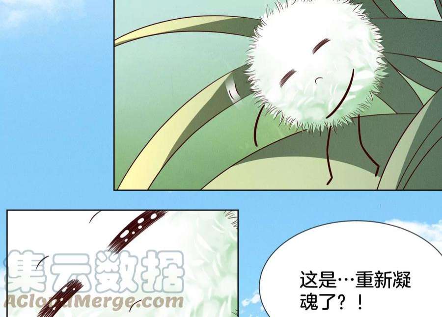 苍兰诀番外一 奶香小兰花降临人间