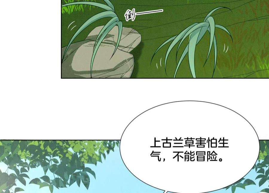 苍兰诀番外一 奶香小兰花降临人间