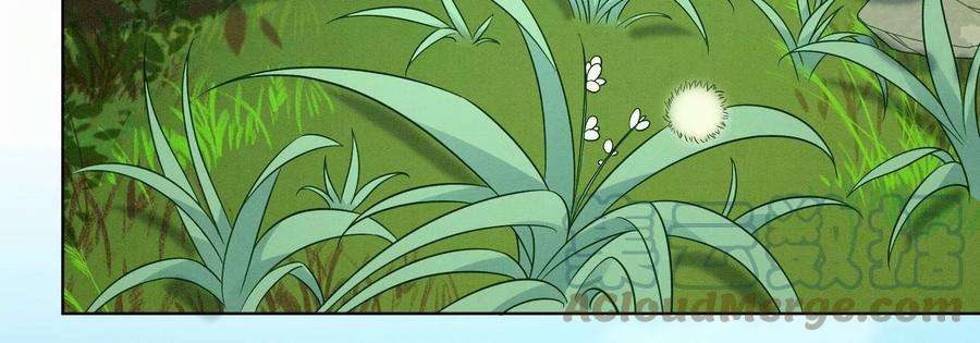 苍兰诀番外一 奶香小兰花降临人间