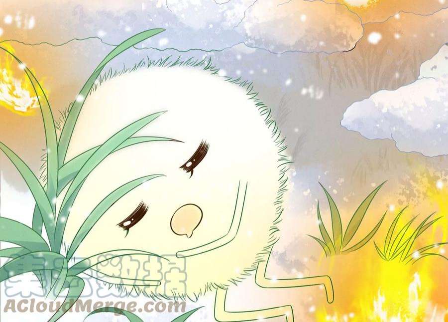 苍兰诀番外一 奶香小兰花降临人间