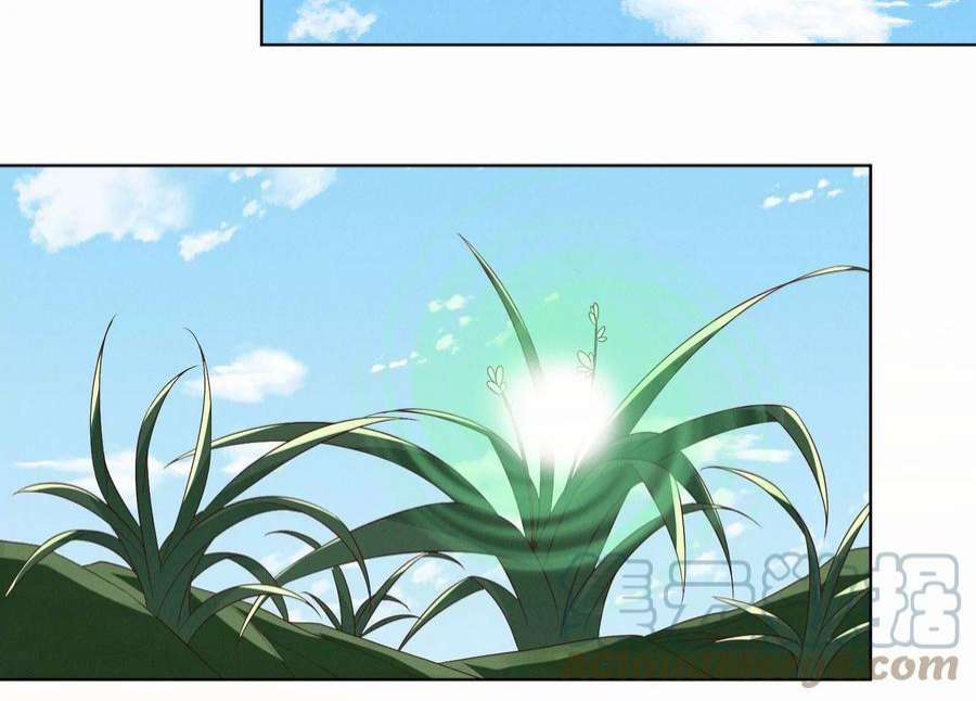 苍兰诀番外一 奶香小兰花降临人间