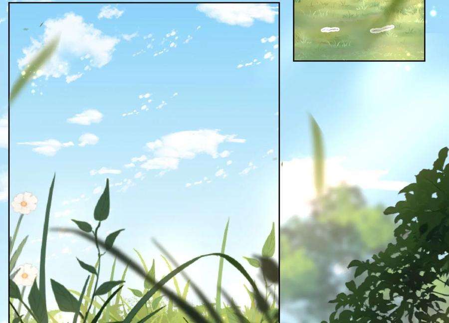 苍兰诀番外三 小兰花全部想起来了