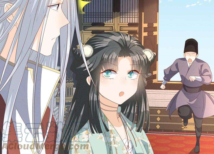 苍兰诀番外五 大冒险之江湖篇