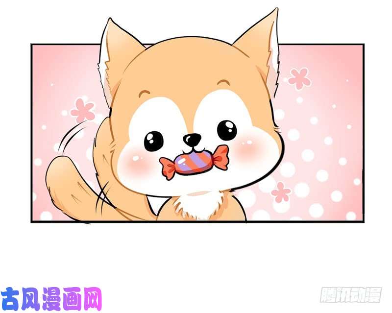 符录之捡到一个小僵尸万圣节：您的包裹被扣在欧洲古堡