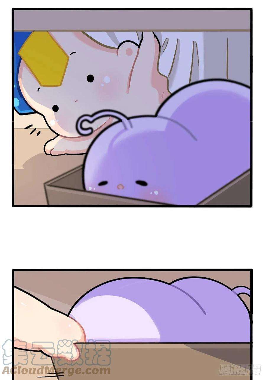 符录之捡到一个小僵尸番外：小可乐的照片