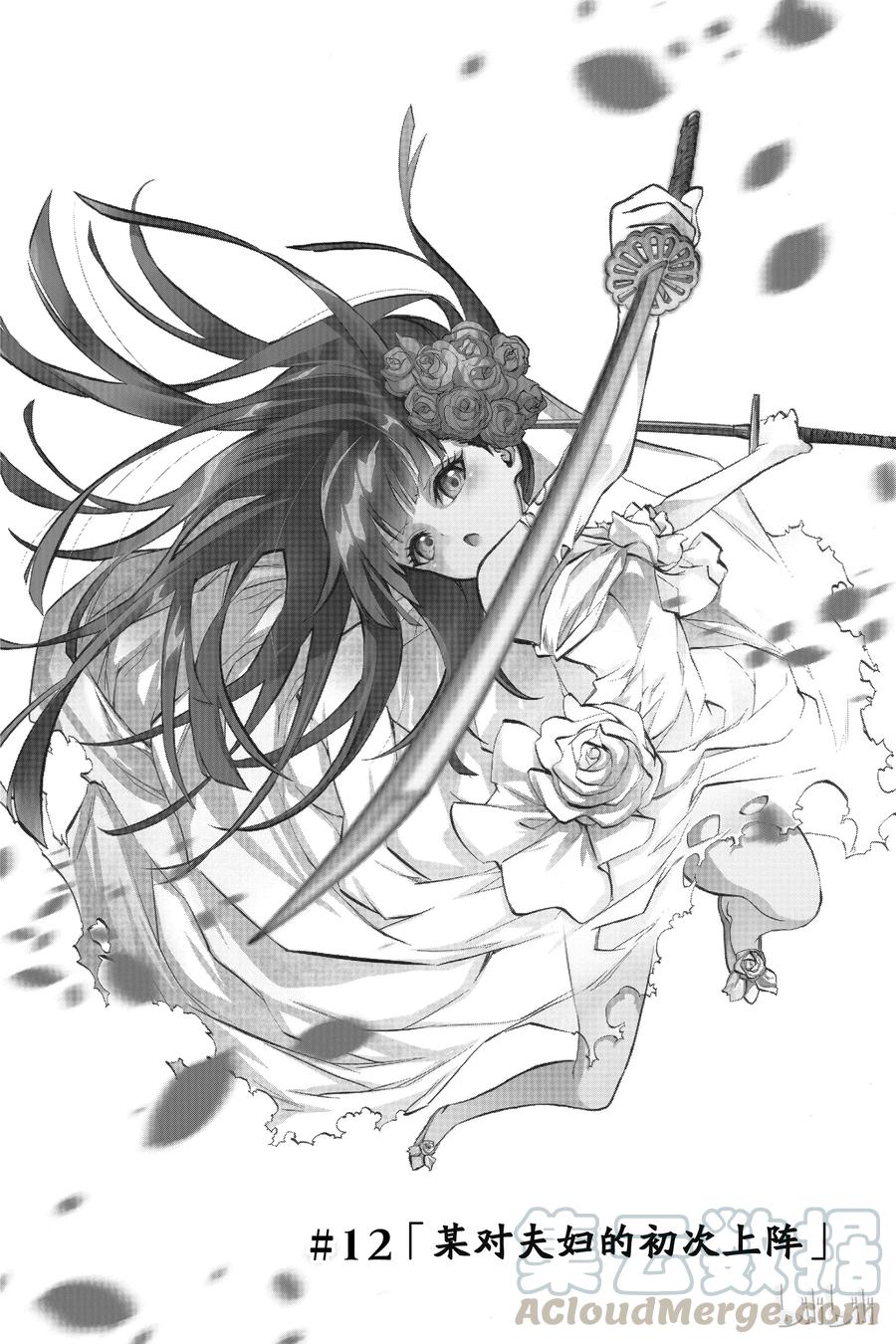 双星之阴阳师12 某对夫妇的初次上阵