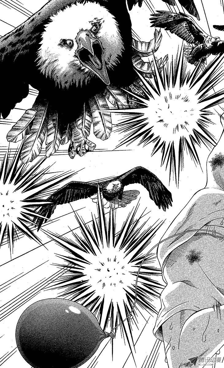 新网球王子第24话 狩猎运动员（下）