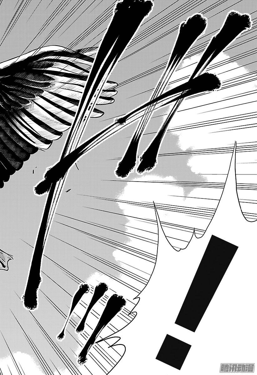 新网球王子第212话 展翅