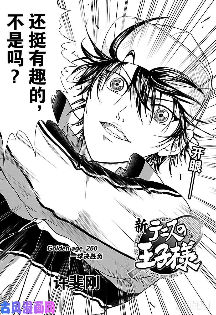 新网球王子第250话 一球决胜负