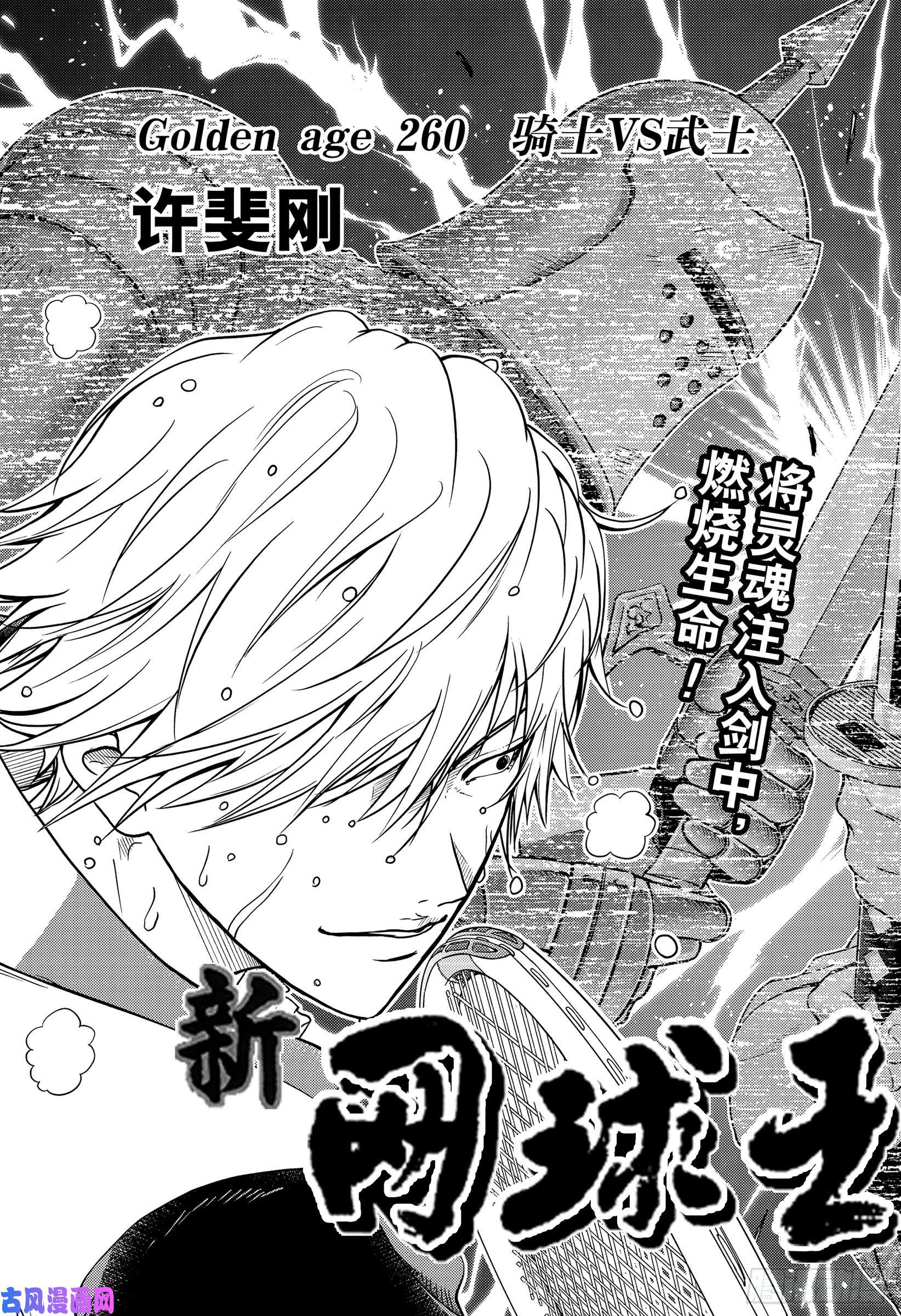 新网球王子第260话 骑士VS武士