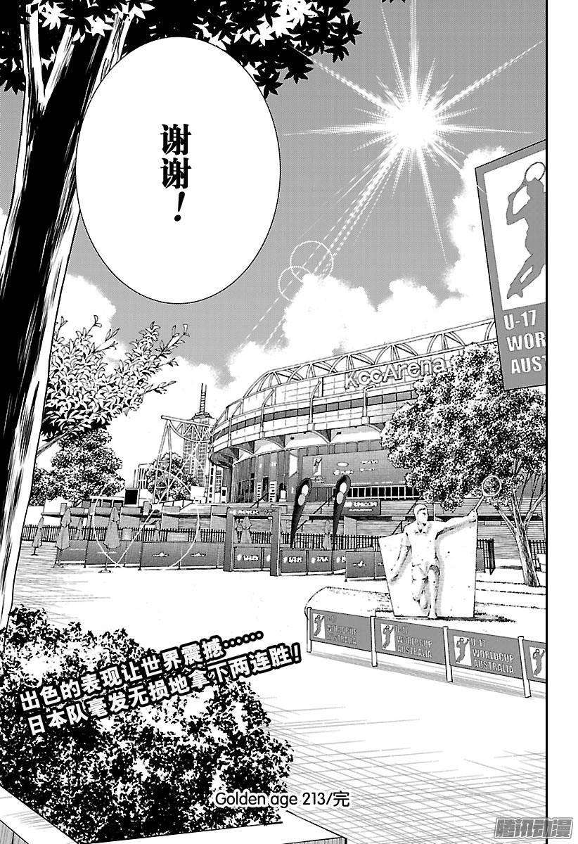 新网球王子213话 意外的结局