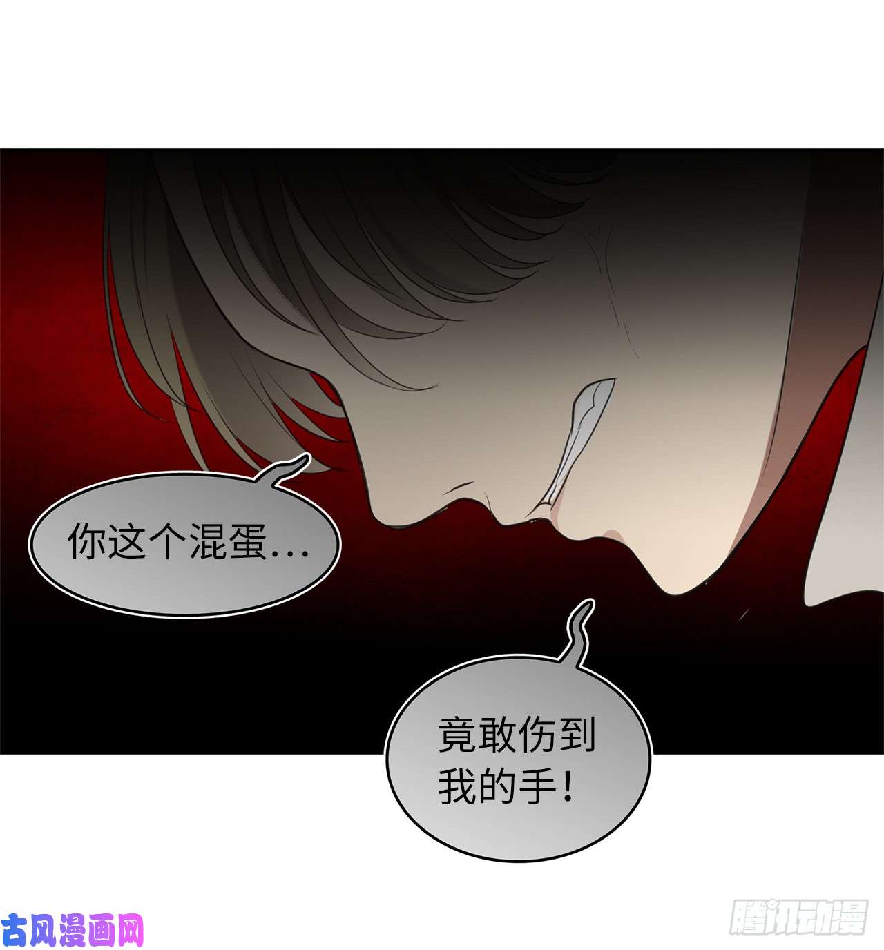 重生归来的战士6.弟弟的影子