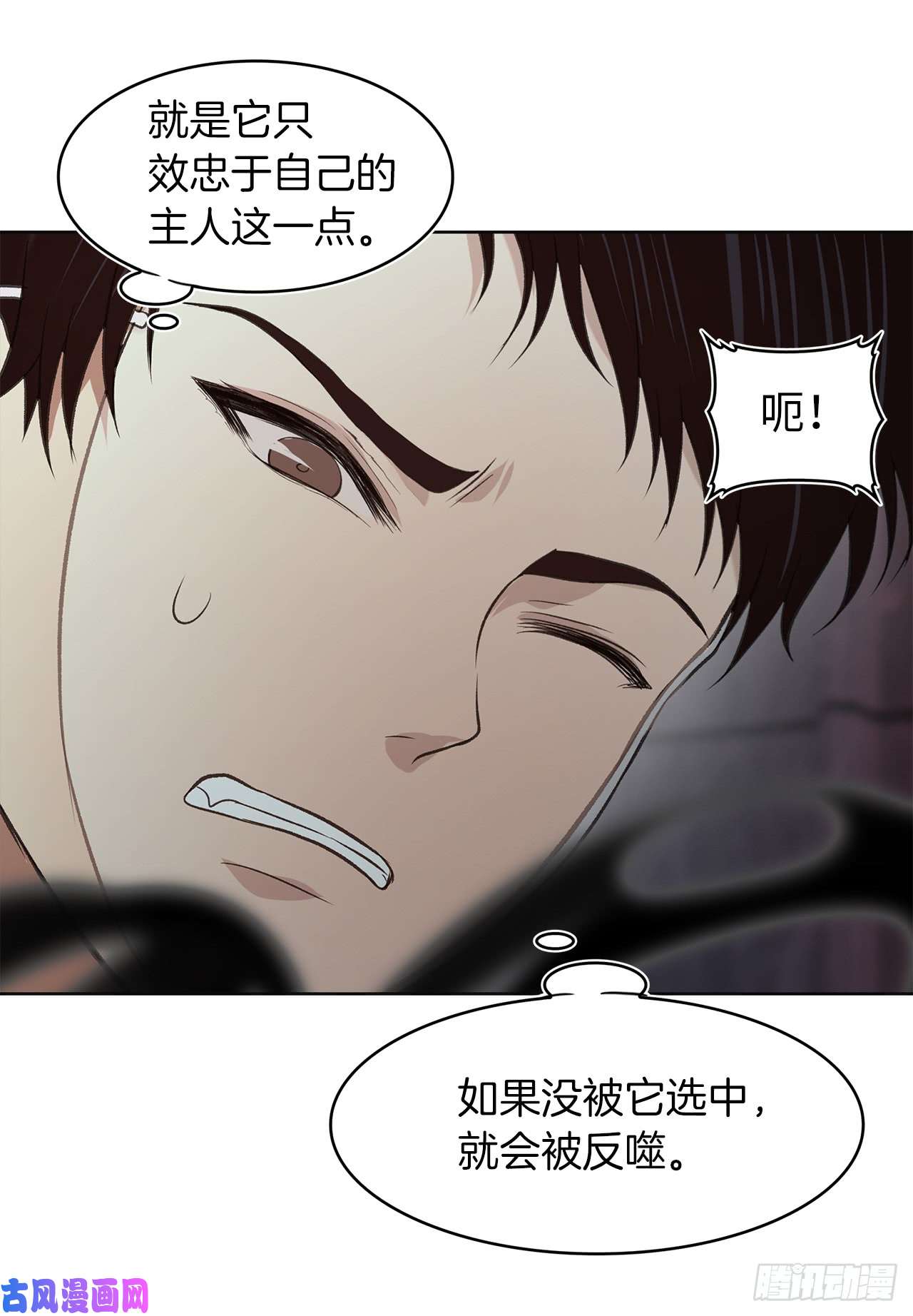 重生归来的战士10.巴托利的吸血剑