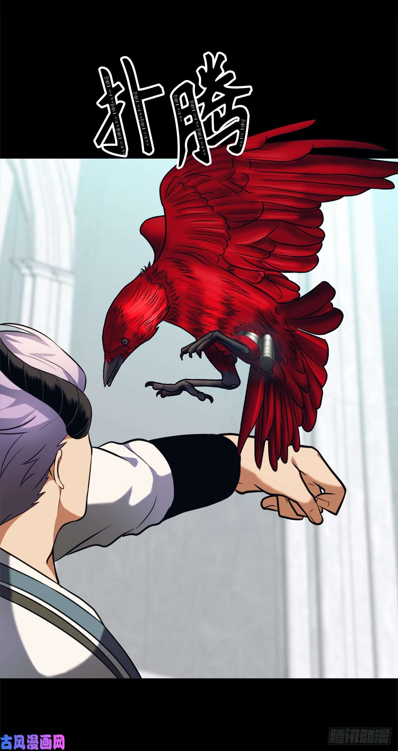 重生归来的战士54.以尊严为赌注的宣战