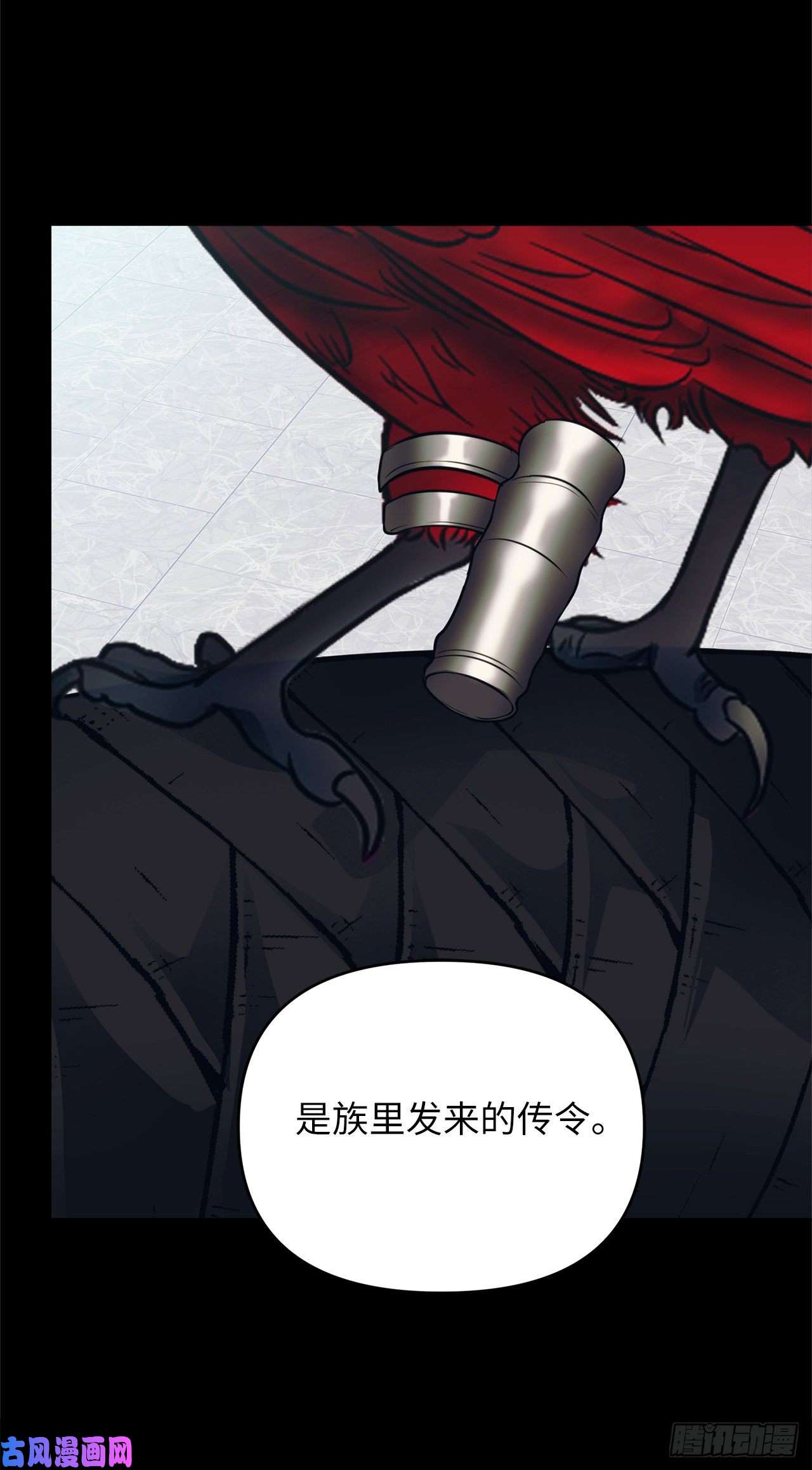 重生归来的战士54.以尊严为赌注的宣战