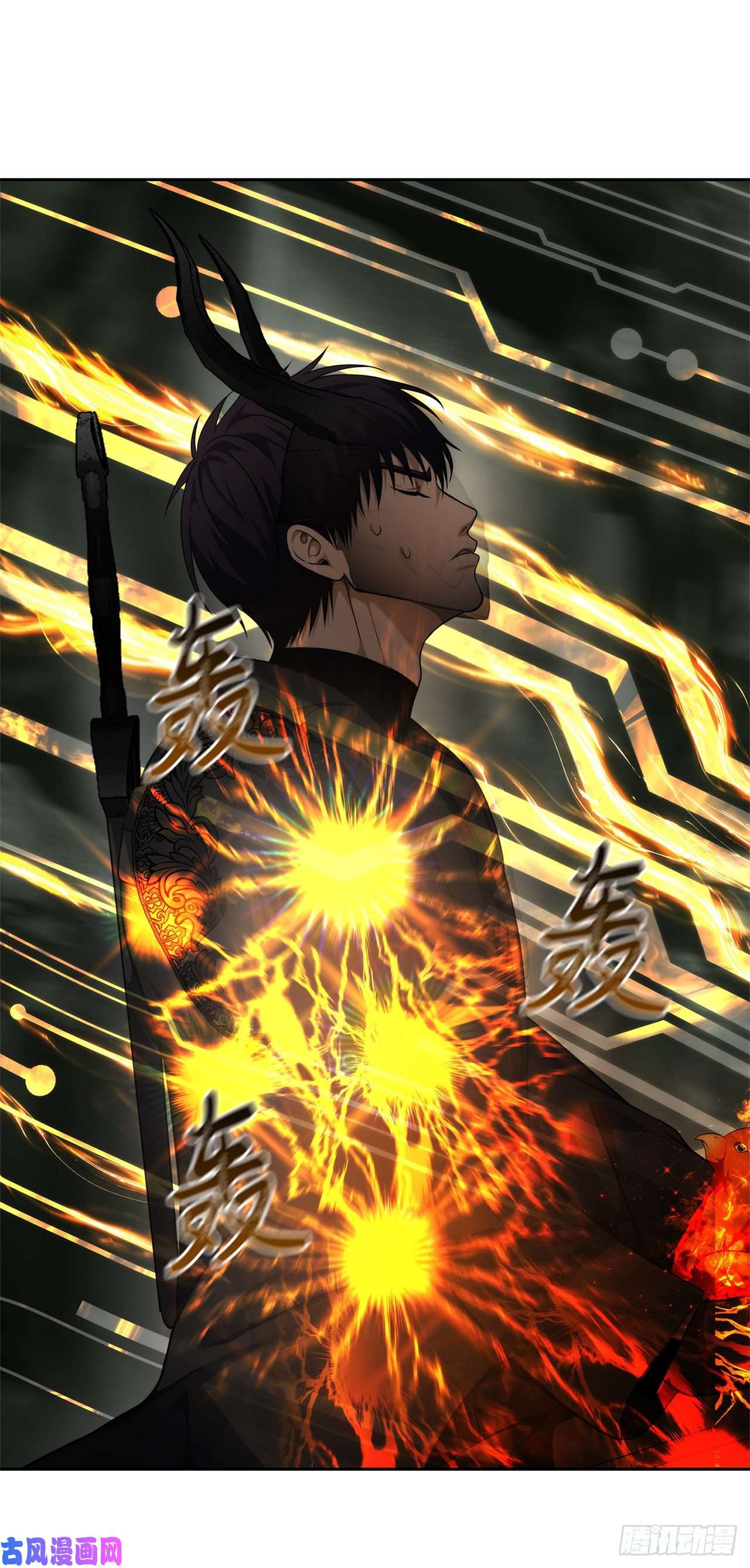 重生归来的战士72.凤凰的继承人