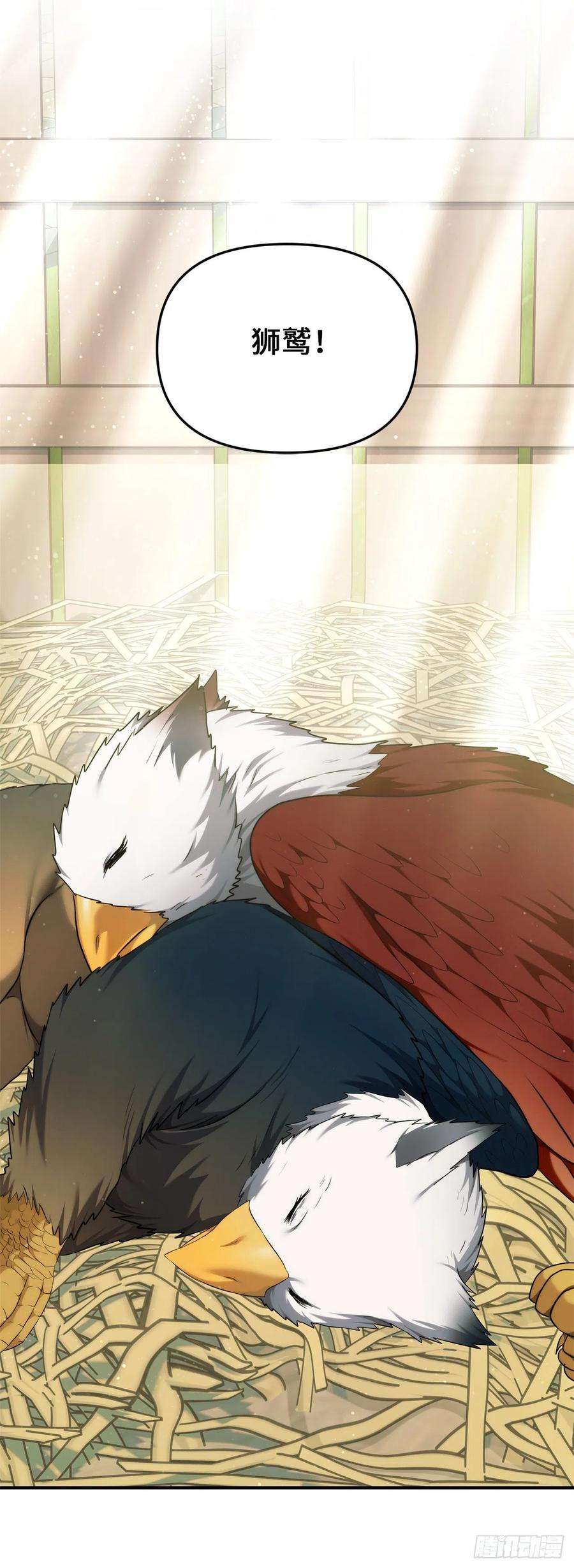 重生归来的战士119.赐予幻兽神之名