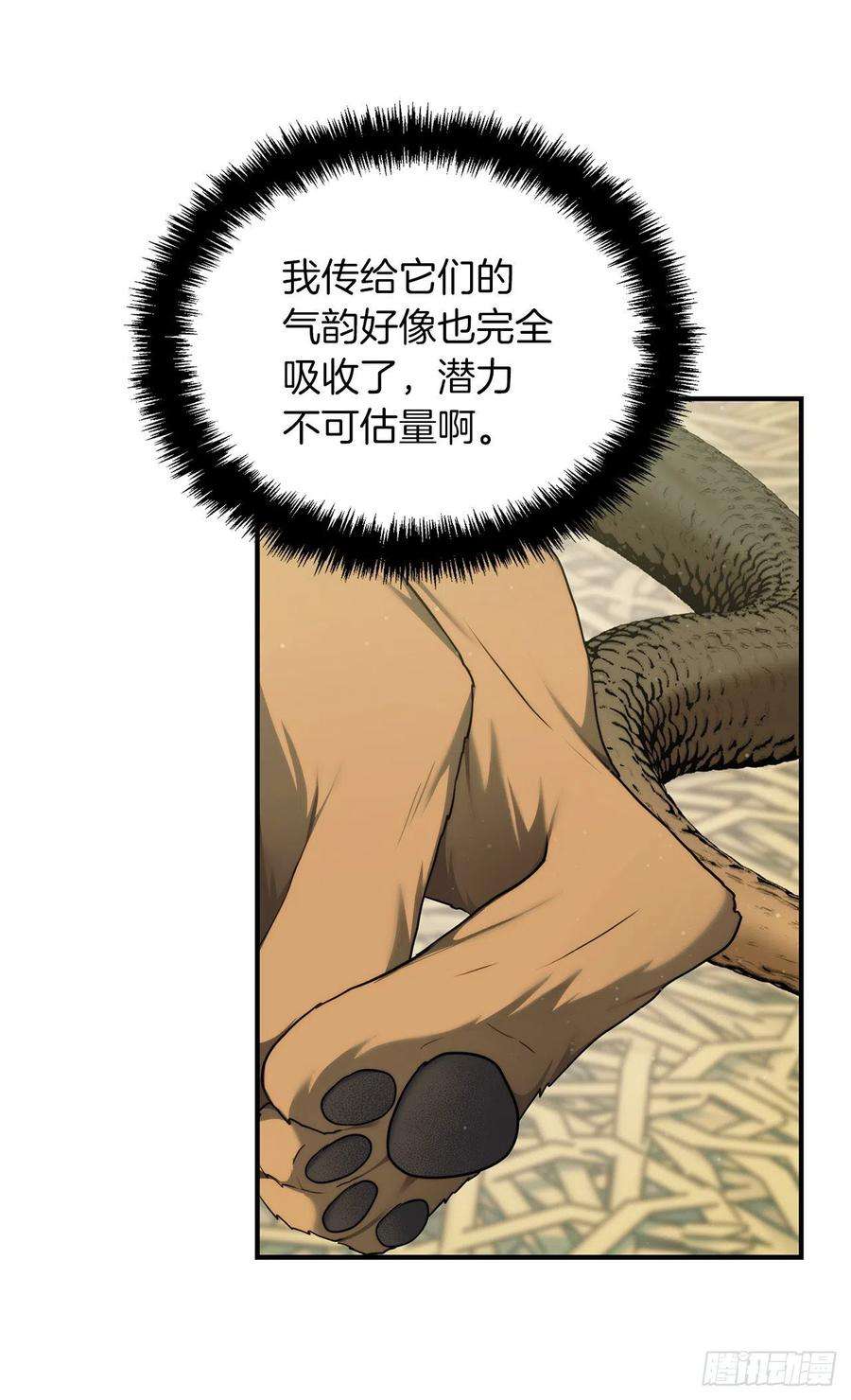 重生归来的战士119.赐予幻兽神之名