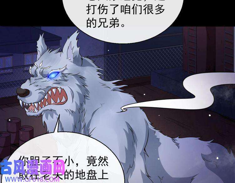 魔尊奶爸第12话 妖帝小白