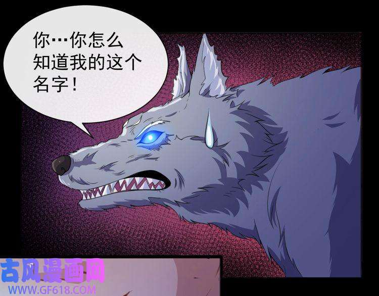 魔尊奶爸第12话 妖帝小白