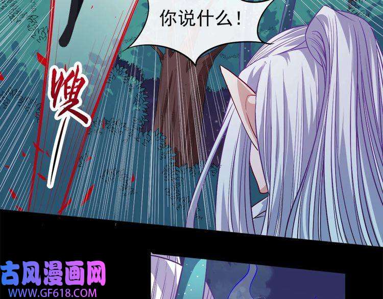 魔尊奶爸第105话 前尘往事