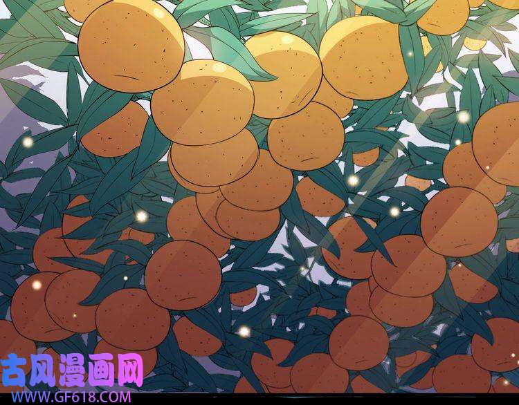 魔尊奶爸番外 此情可待成追忆