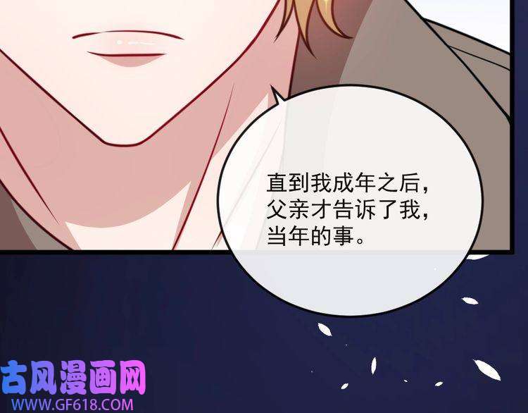 魔尊奶爸第165话 黑暗往事（上）