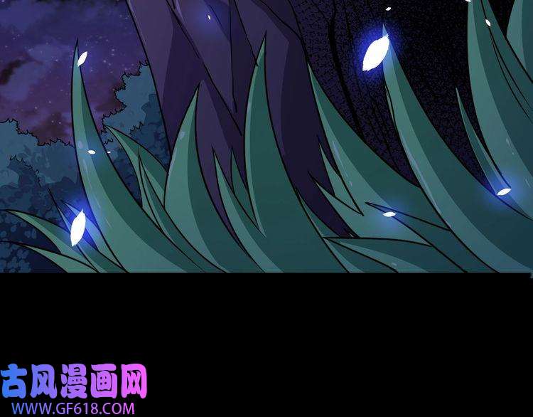 魔尊奶爸第80话 魔尊和魔影